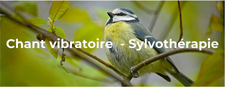 Chant vibratoire - Sylvothrapie